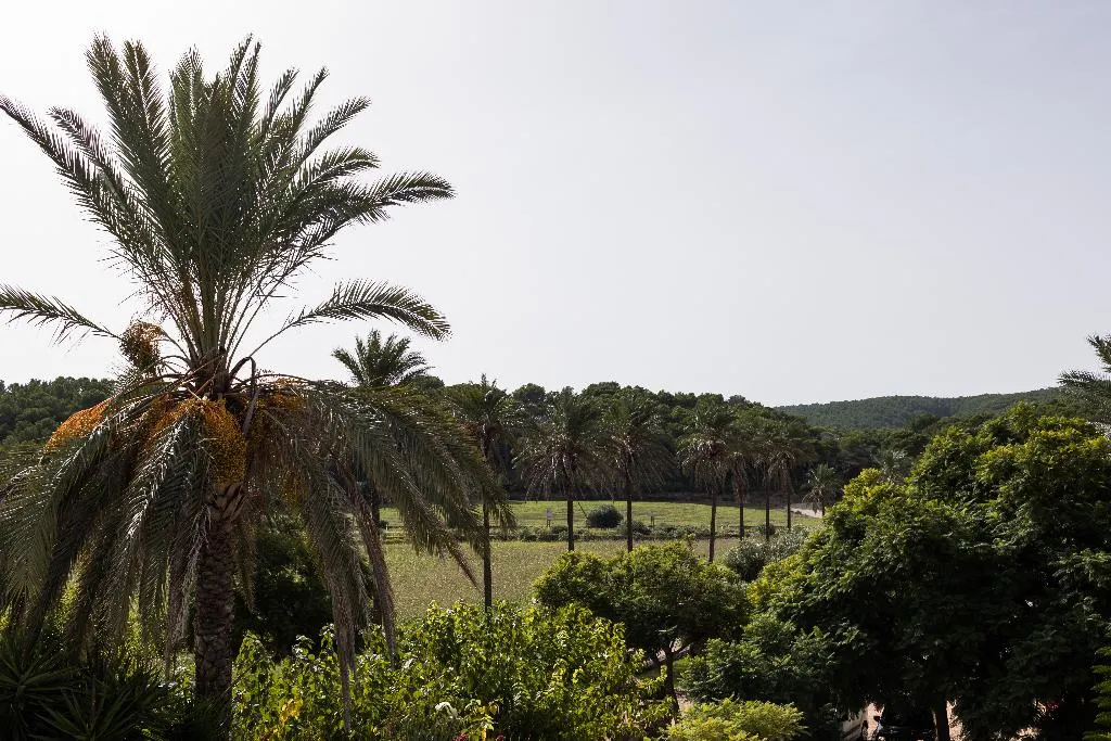 JUNIOR SUITE STANDARD Room, Llucatx Menorca, Menorca