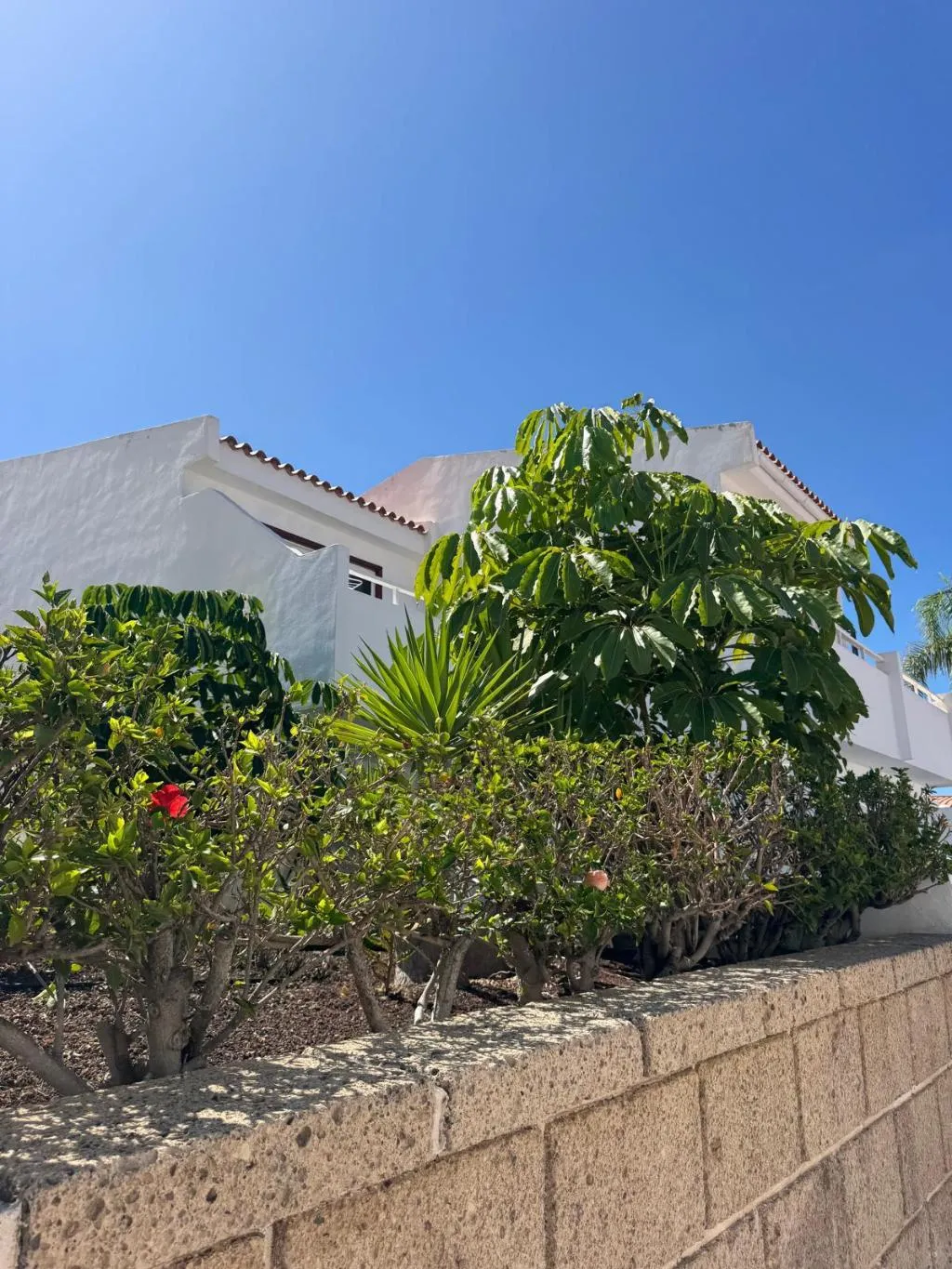 Lobby, Malibu Park, Tenerife