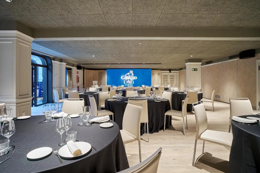Conferences, VP Madroño, Madrid