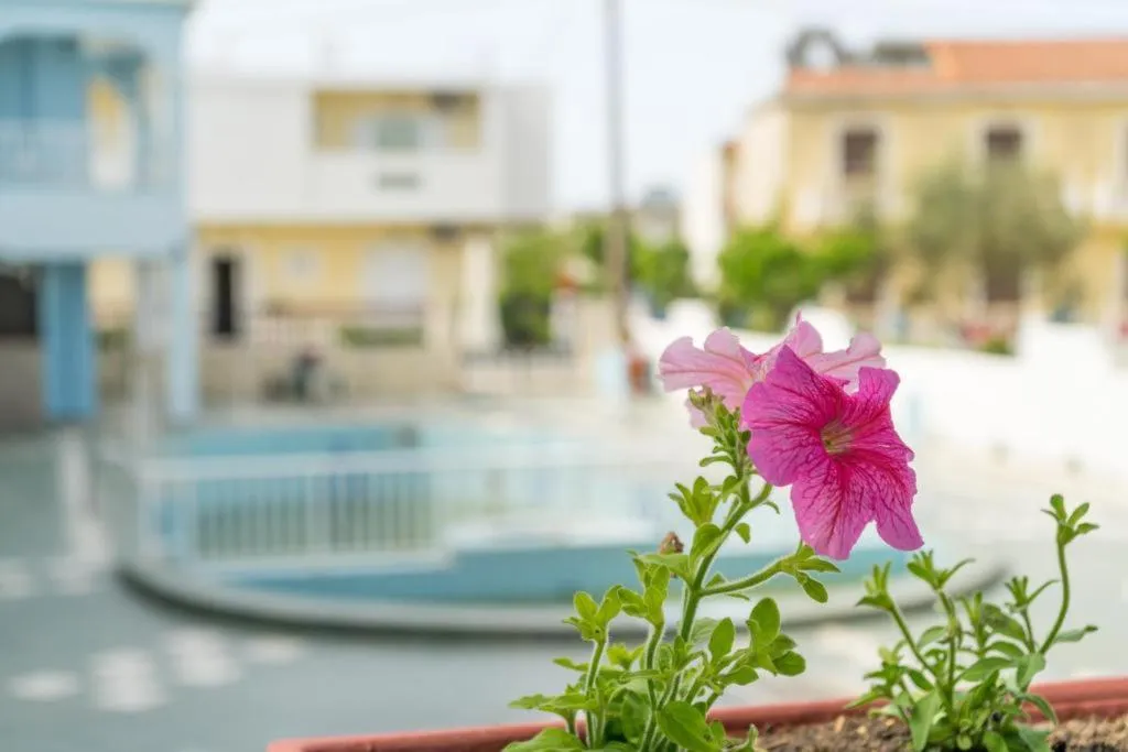General view, Anna's Studios & Apartments, Zante