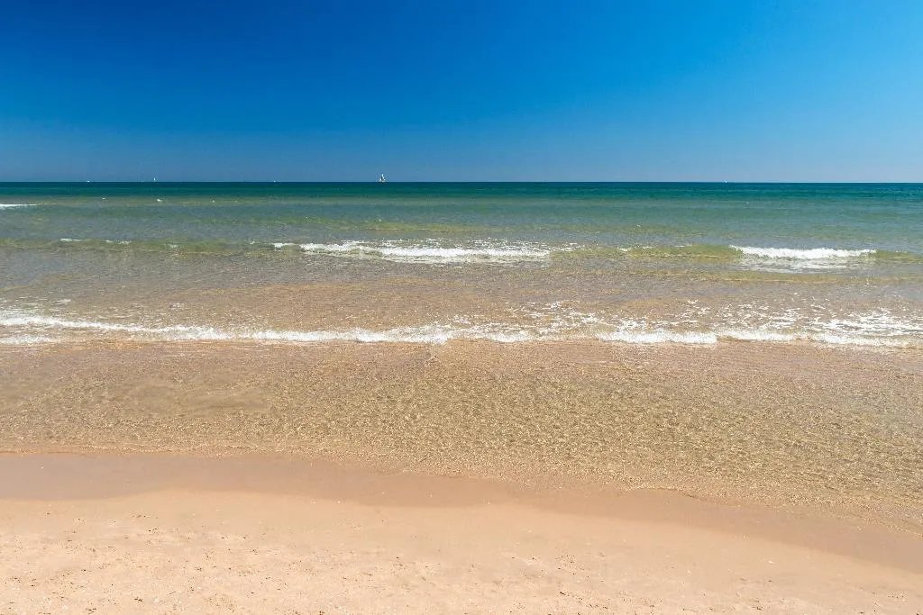 Beach, Oliva Nova Beach & Golf Hotel, Fuerteventura