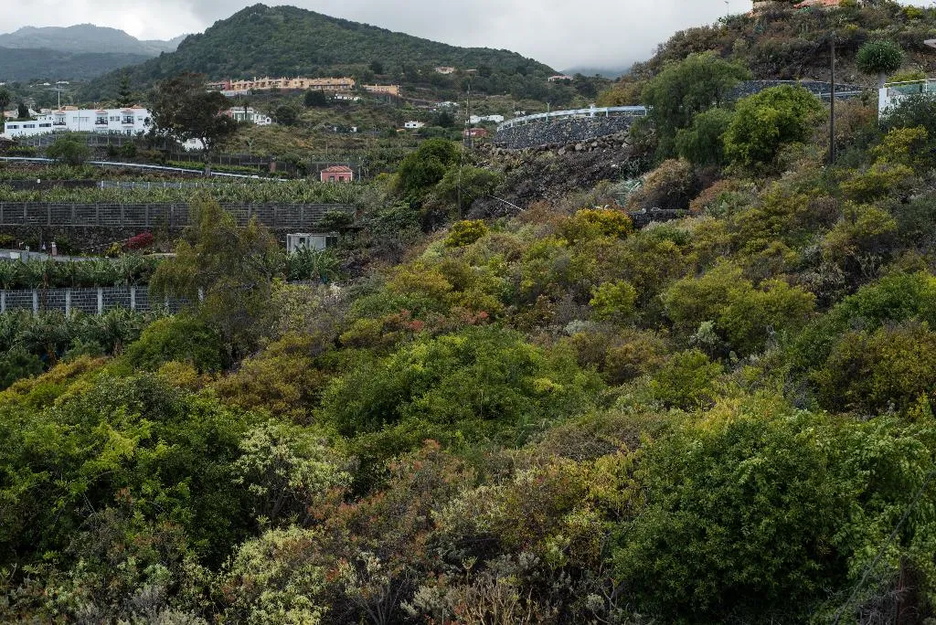 General view, Apartamentos Mayoysa, La Palma