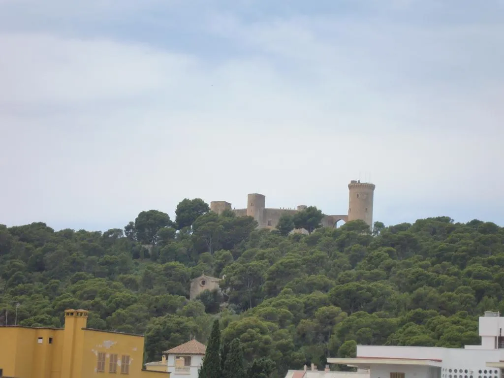 General view, Gomila Park, Majorca