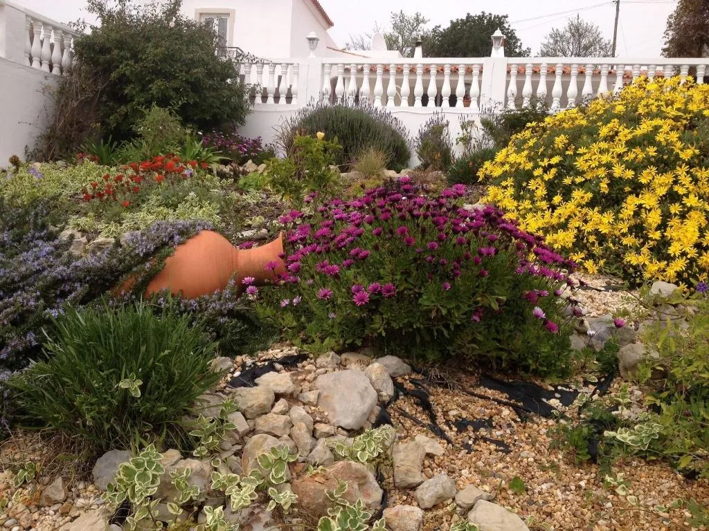 General view, Winniehill, Algarve