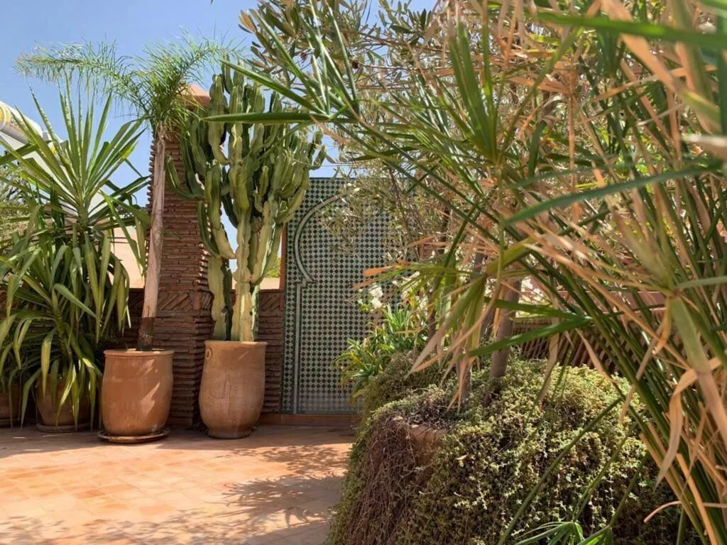 Terrace, Riad Palacio De Las Especias, Marrakech