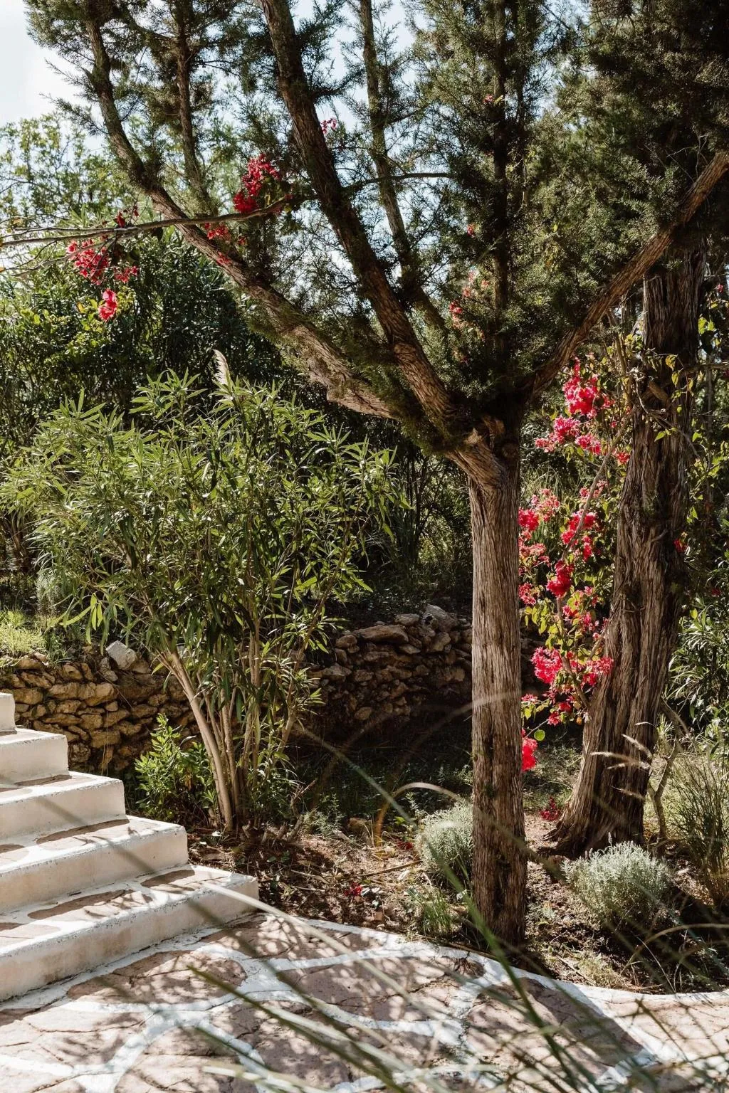 Terrace, Can Vistabella Boutique Resort, Ibiza