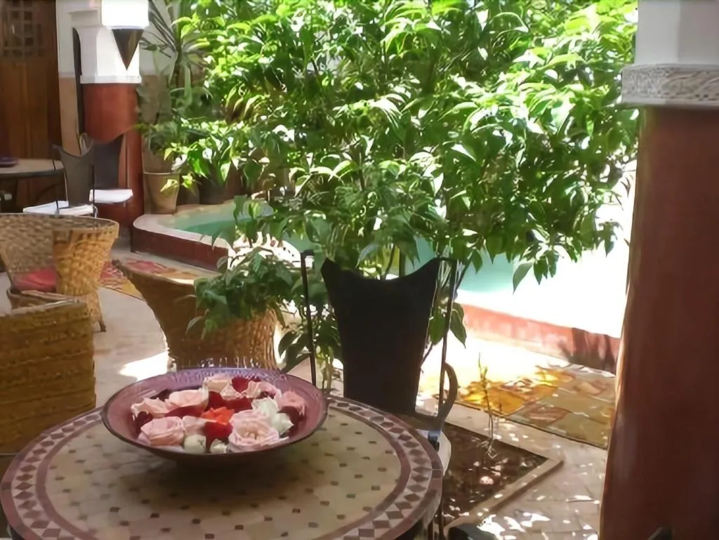 Terrace, Ryad Dar Ganou, Marrakech