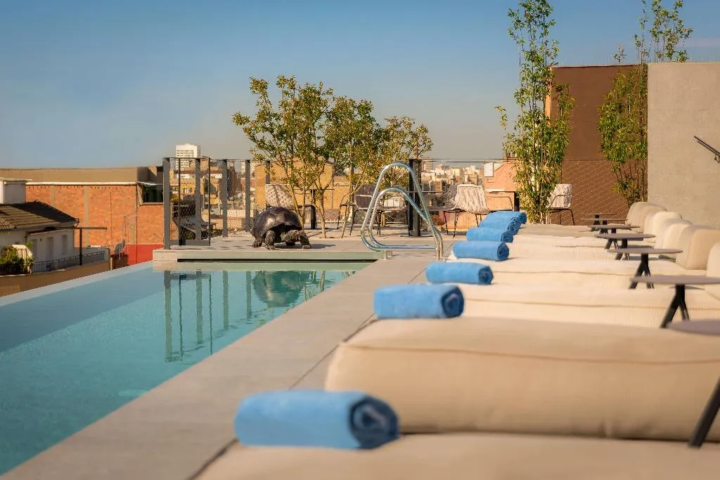 Pool, Ohla Eixample, Barcelona