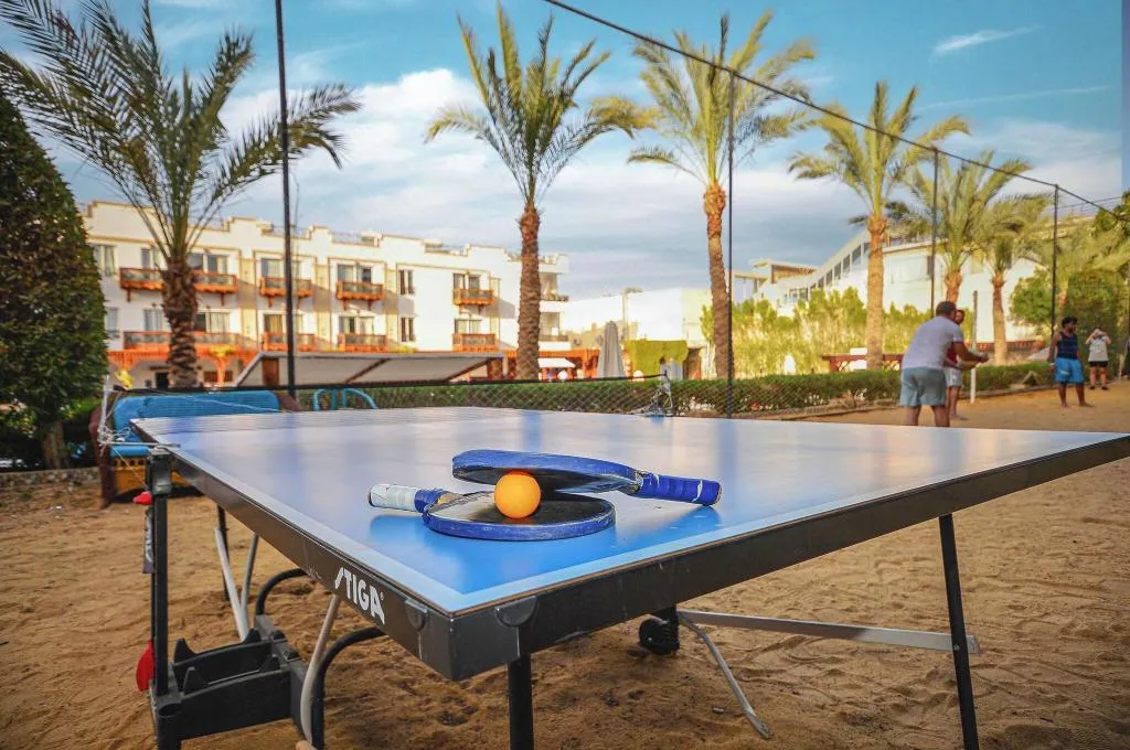 Sports and Entertainment, Falcon Naama Star Hotel, Red Sea Riviera