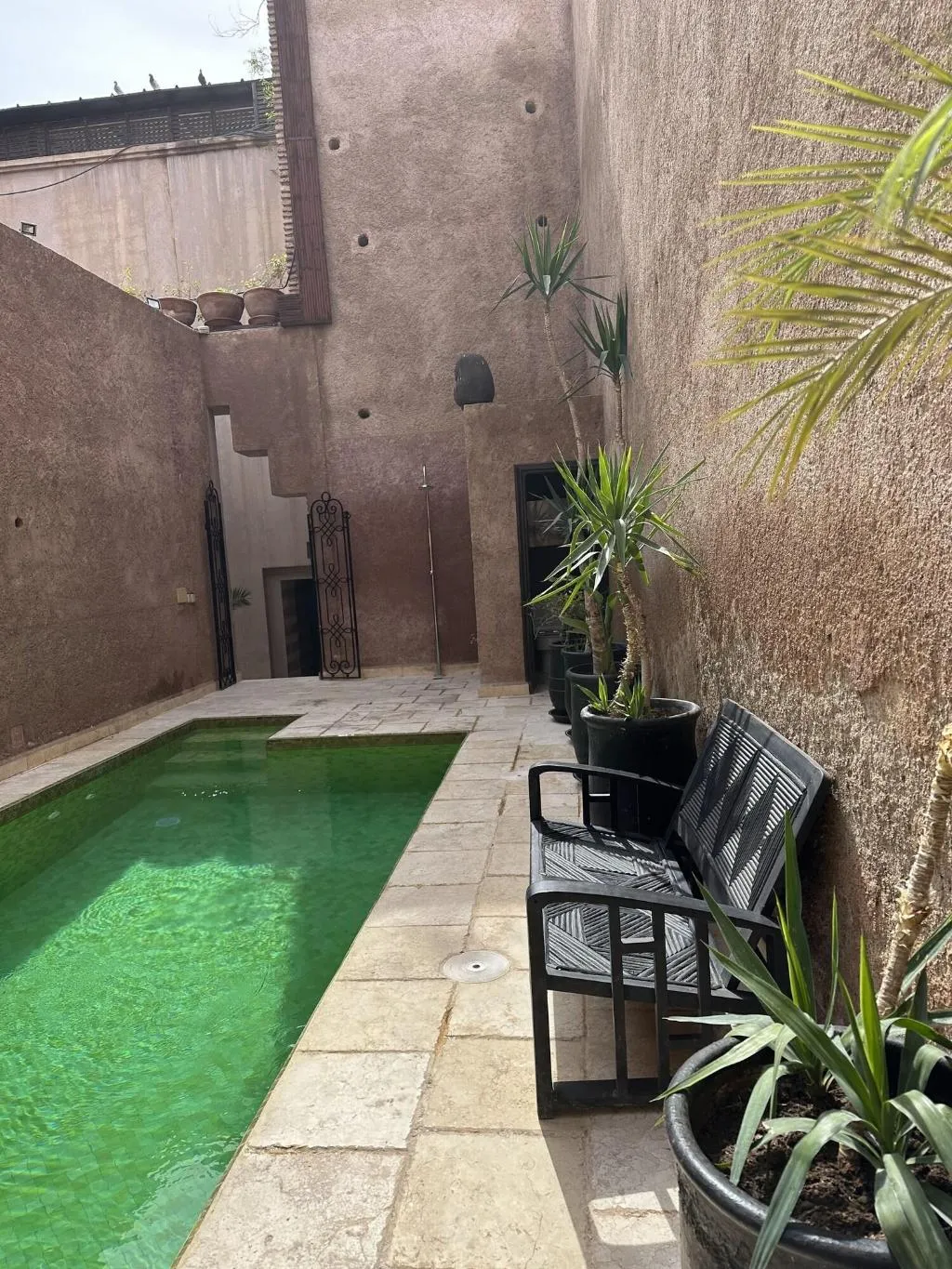 Pool, Villa Makassar, Marrakech