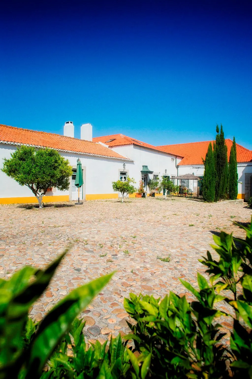 Terrace, Quinta Da Praia Das Fontes, Lisbon