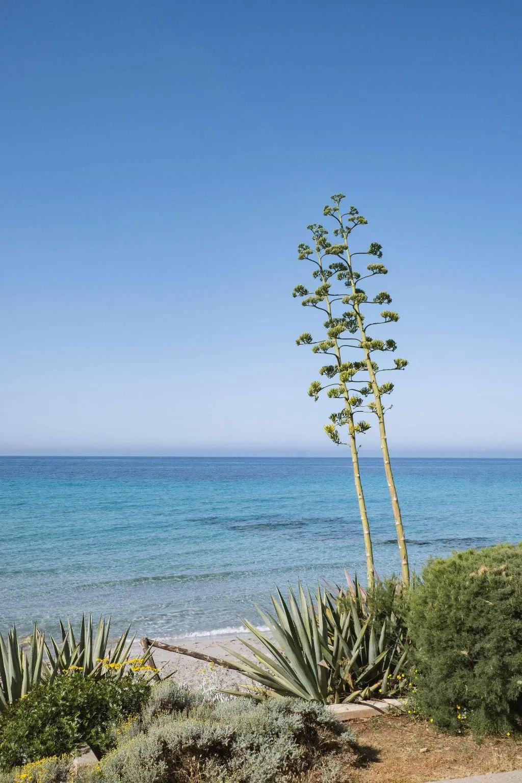 Beach, Villa Le Blanc Gran Meliá Hotel, Menorca