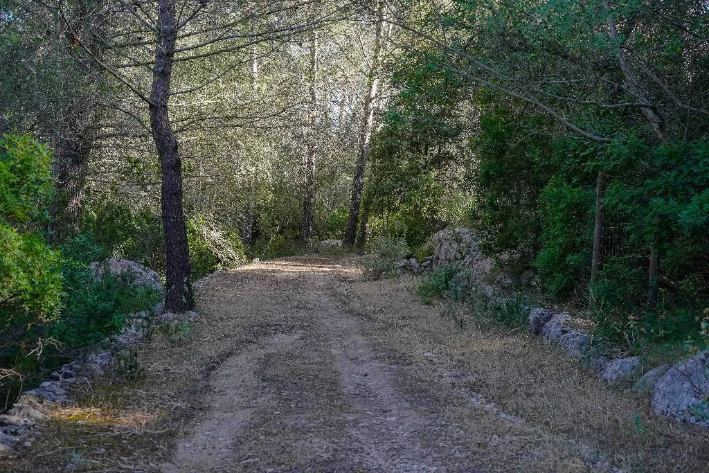 Sports and Entertainment, Hotel Rural S'Olivaret, Majorca