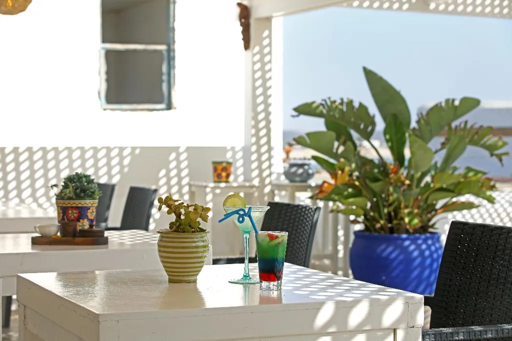 Terrace, Dar L'Oussia, Essaouira