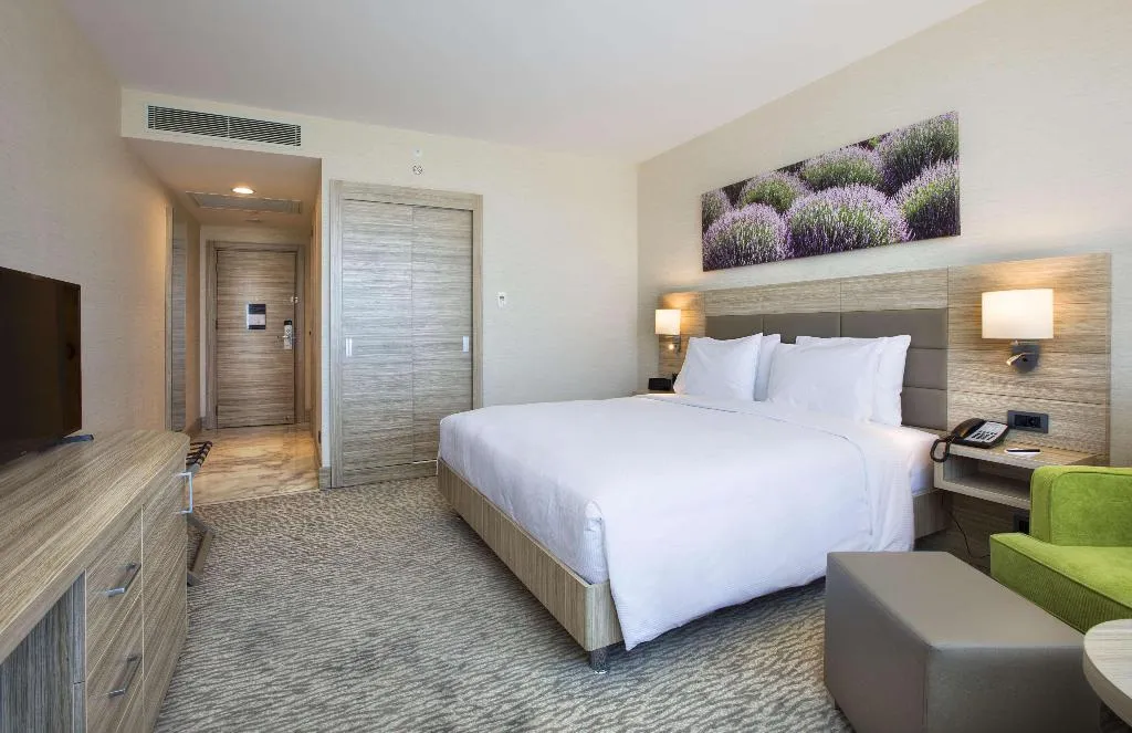 Room, Hilton Garden Inn Isparta, Antalya
