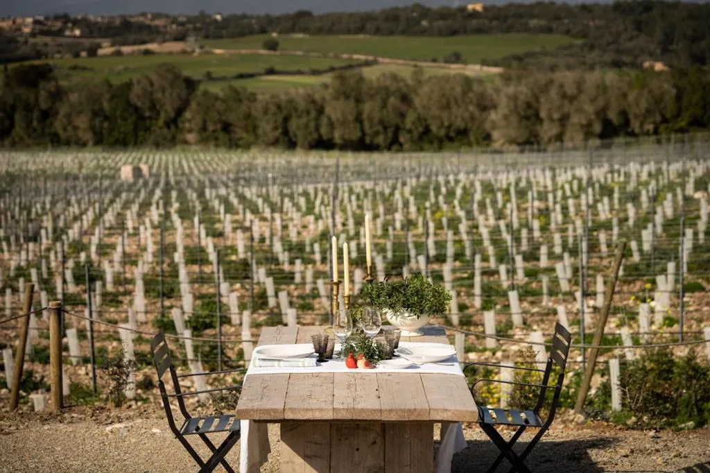 Sports and Entertainment, Finca Serena, Majorca
