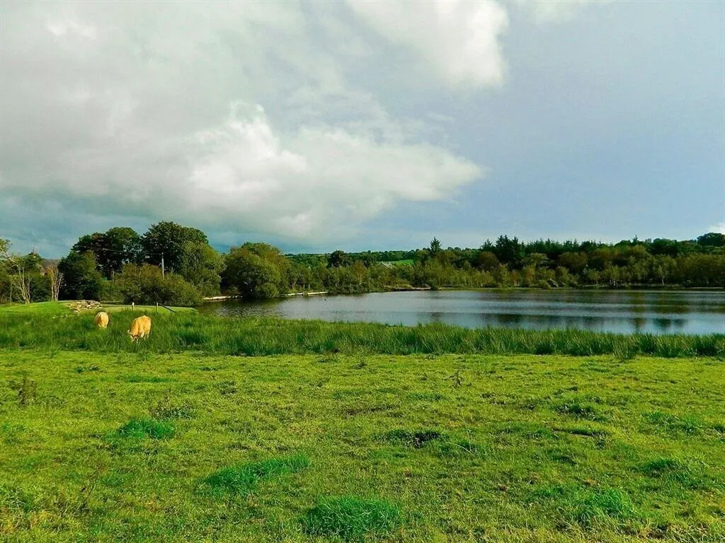 General view, Lake House B&B, Cork