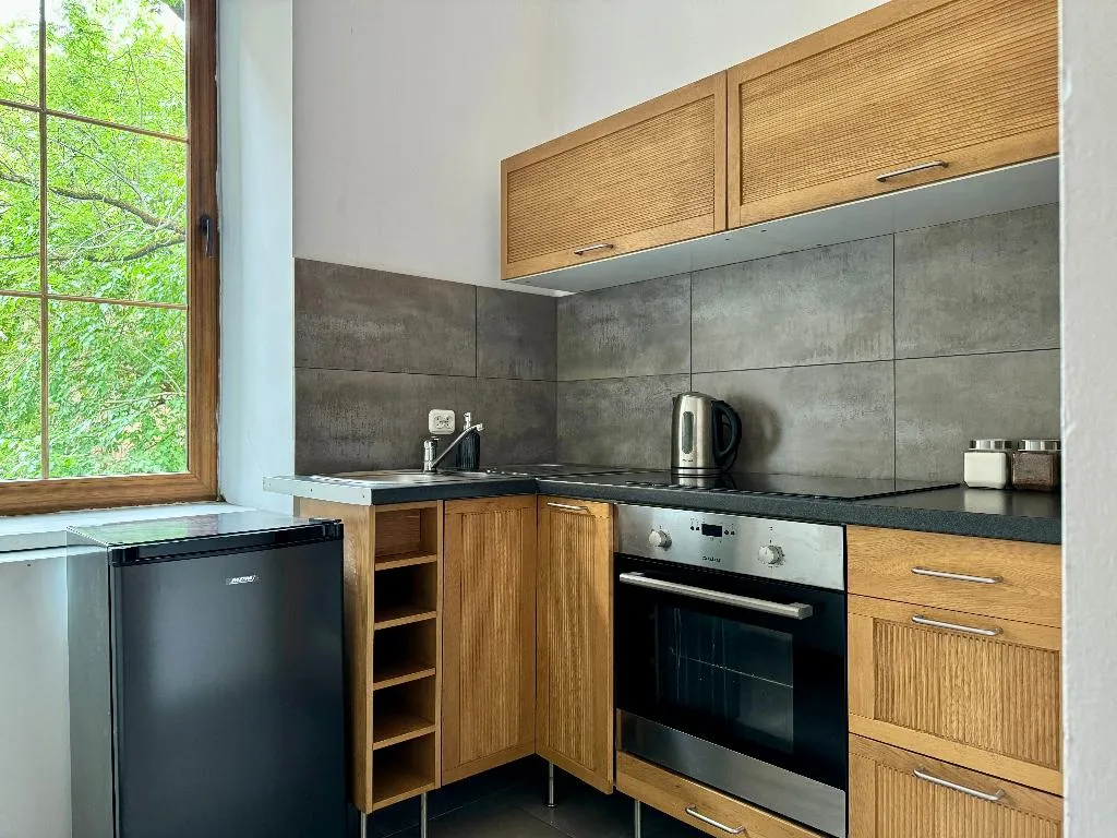 APARTMENT TWO BEDROOMS Room, Milla Apartments, Krakow