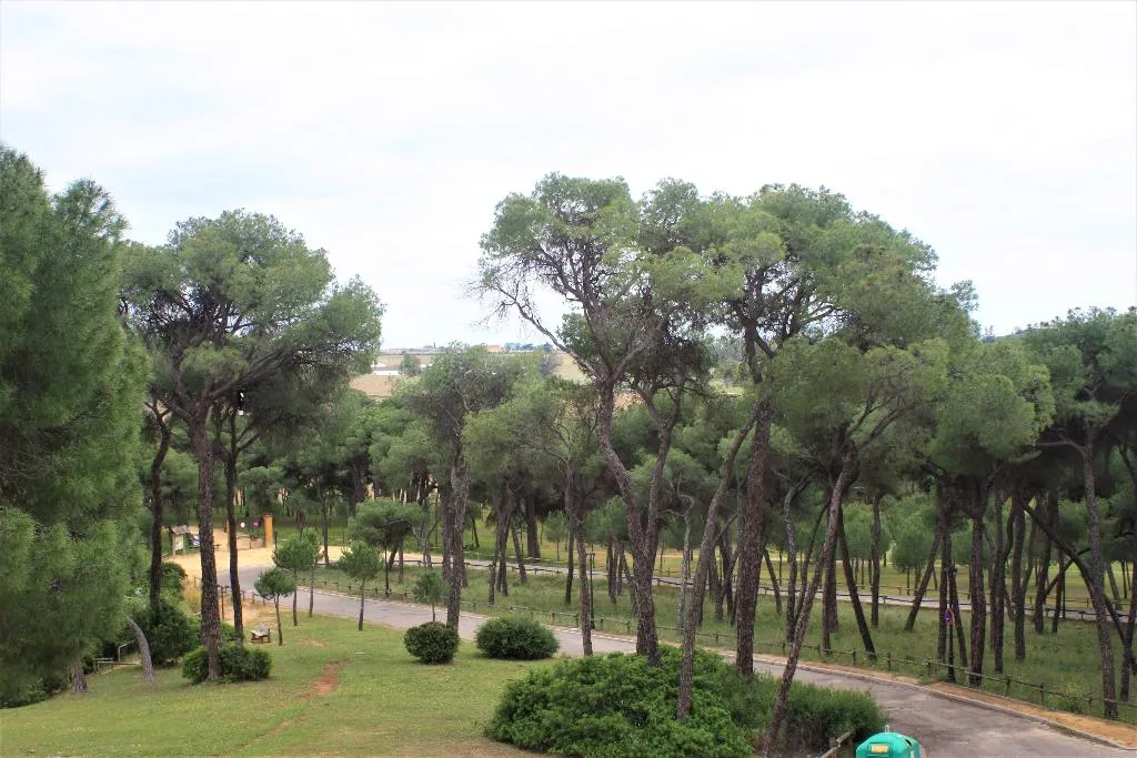 Sports and Entertainment, Legado Oromana, Andalucia