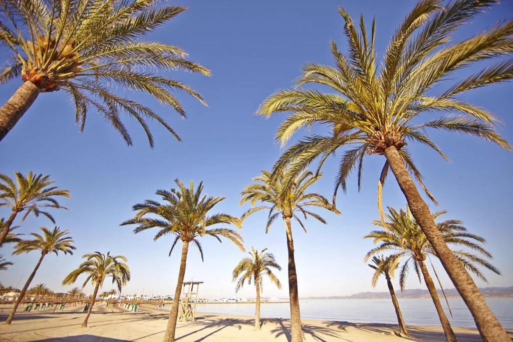 Beach, Caribbean Bay, Majorca