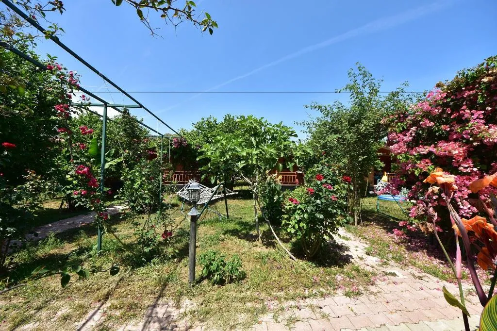 General view, Lemon Garden Lodge, Antalya