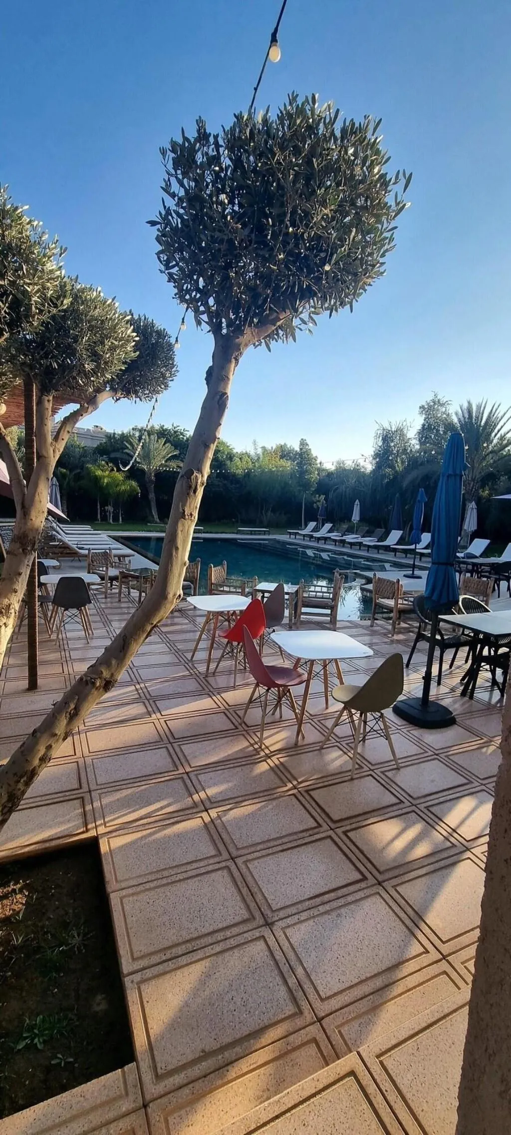 Sports and Entertainment, The Bird Exclusive Guest House & Spa, Marrakech