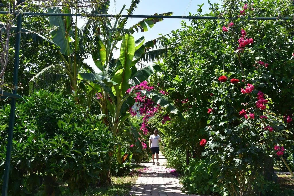 General view, Lemon Garden Lodge, Antalya
