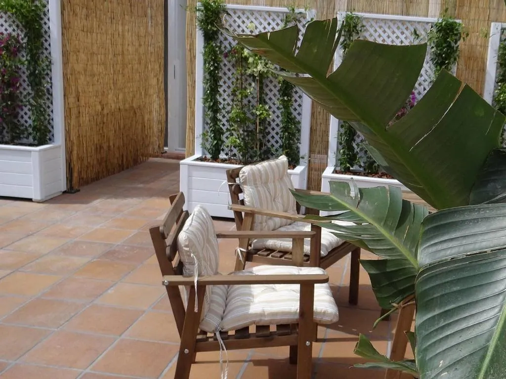 Terrace, Hostal Balkonia, Barcelona