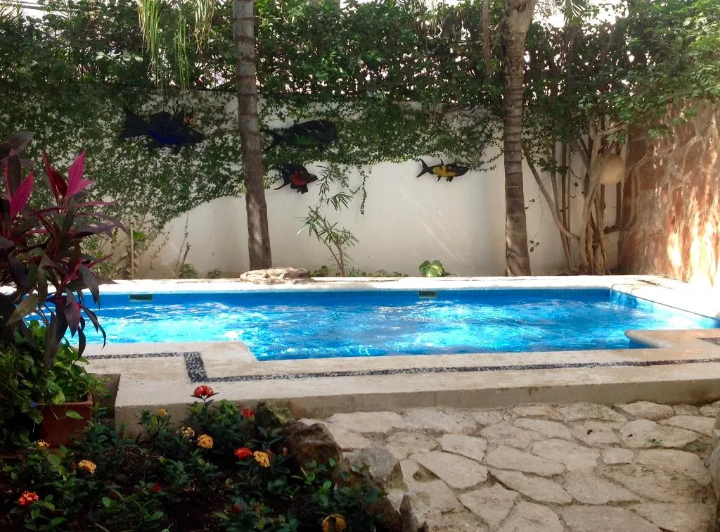 Pool, Las Golondrinas, Playa Del Carmen