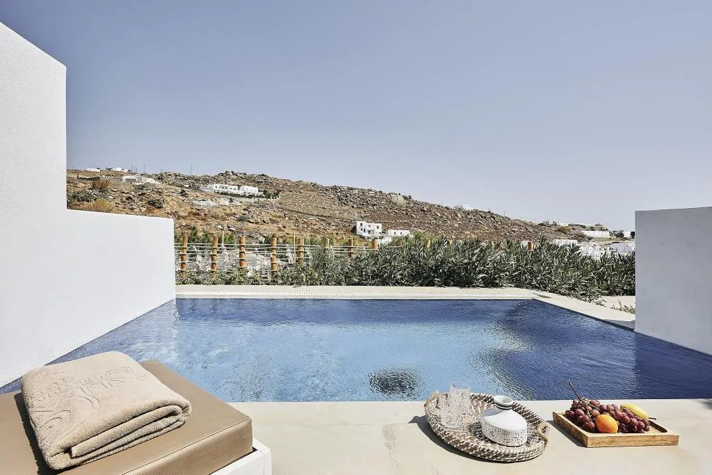 DOUBLE DELUXE WITH PRIVATE POOL Room, Palladium, Mykonos