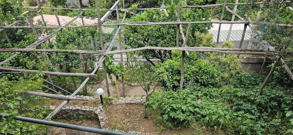 Terrace, Hotel Cristina, Naples