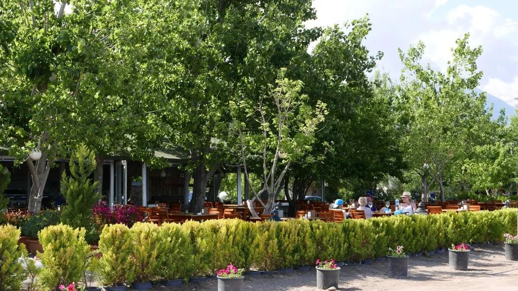 Restaurant, Aida Hotel, Antalya