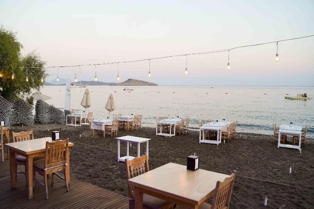Bar, Herodot Beach Hotel, Bodrum