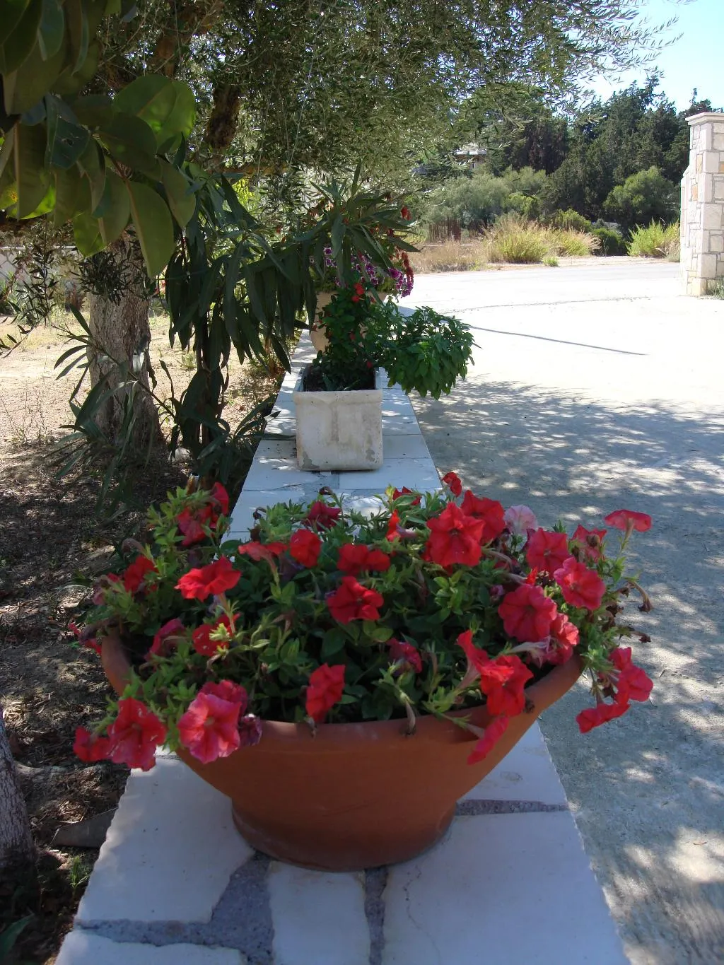 General view, Villa Kapnisi, Zante