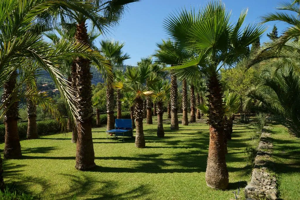General view, Finca Hotel Son Pont, Majorca