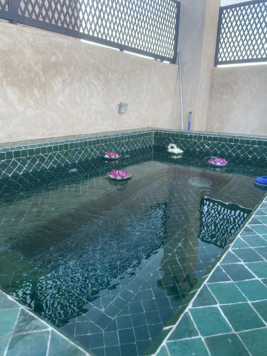 Sports and Entertainment, Riad Magnolia and SPA, Marrakech