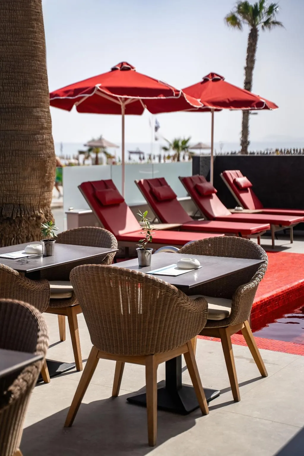 Bar, Kriti Beach, Crete