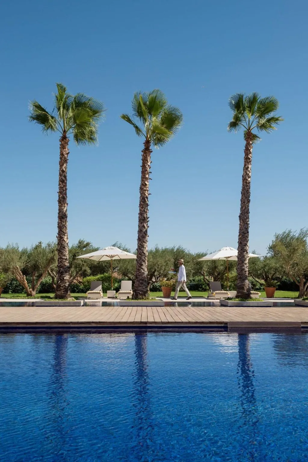 Pool, The Oberoi Marrakech, Marrakech