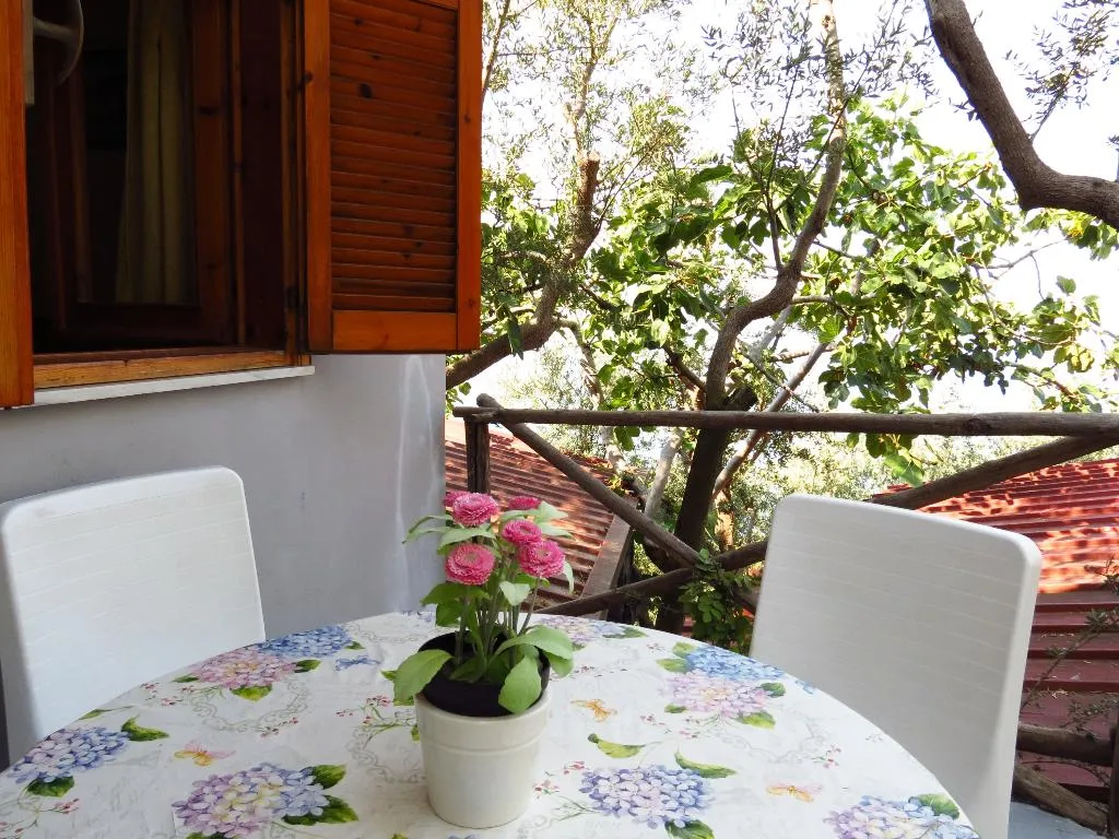 CHALET CAPACITY 3 Room, Baia Serena, Naples