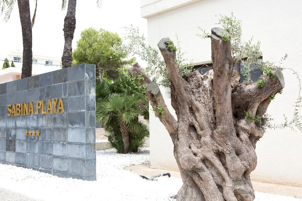 General view, Hotel Sabina Playa, Majorca
