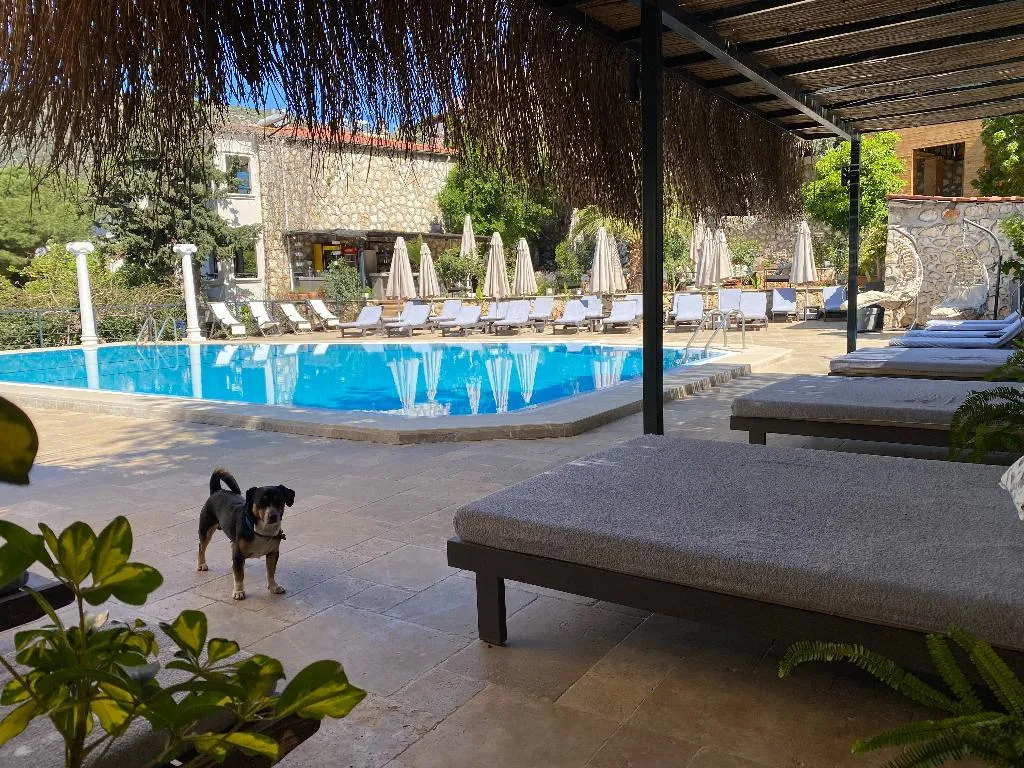 General view, True Blue Boutique Hotel, Dalaman
