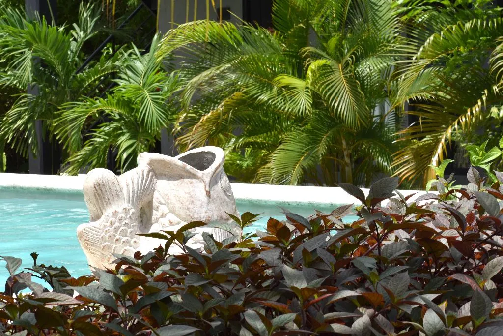 General view, Barro Negro Tulum, Cancun Area
