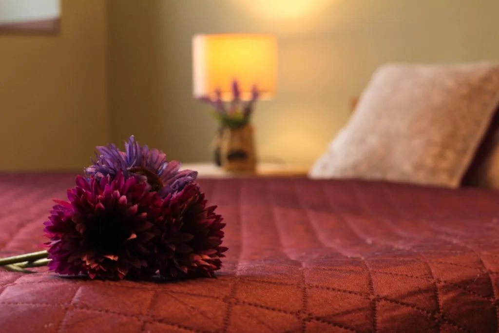 APARTMENT CAPACITY 5 TWO BEDROOMS Room, Old Town Apartments Slawkowska, Krakow