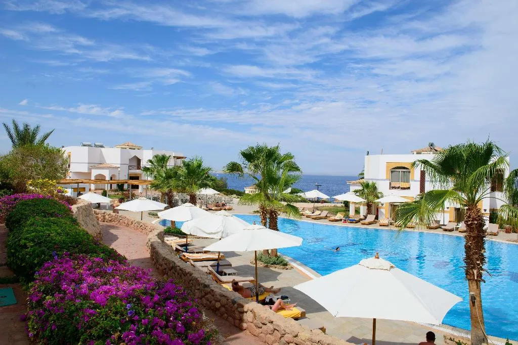 Pool, Amphoras Blu, Red Sea Riviera