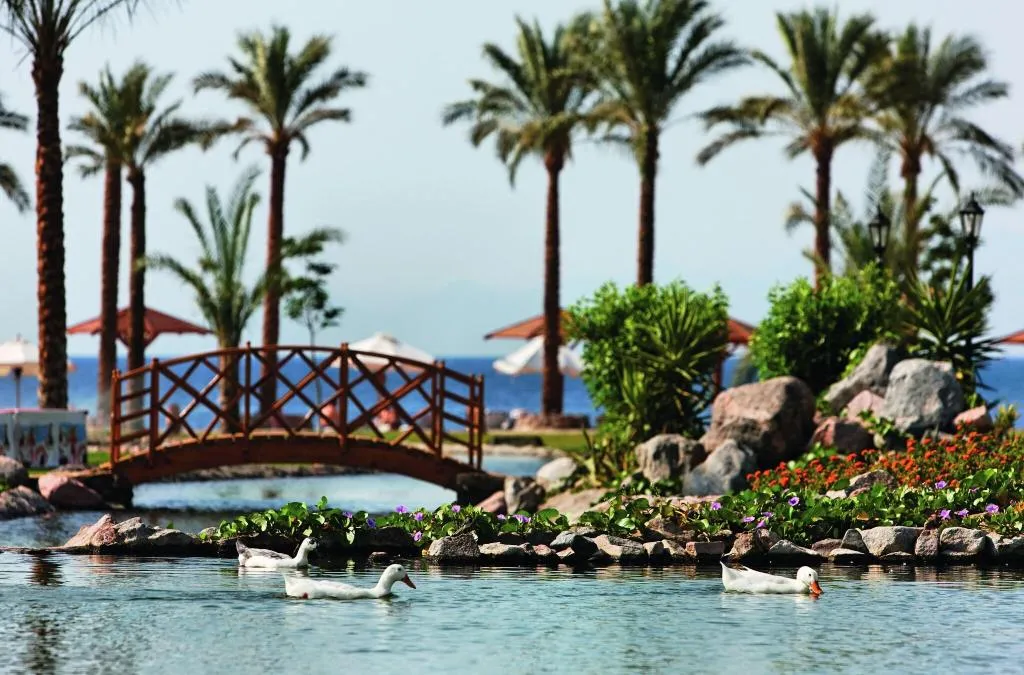 General view, Movenpick Resort Taba, Red Sea Riviera