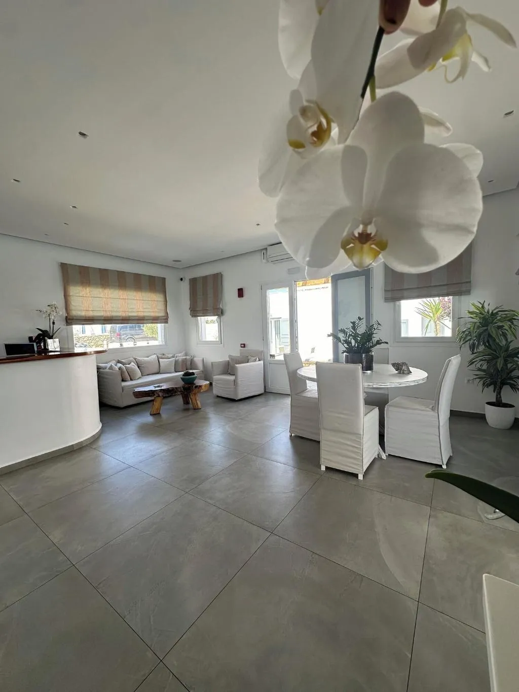Lobby, Anna Maria Studios, Mykonos