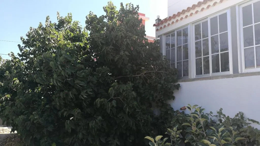 General view, Holiday Home Emblema - Adults Only, Tenerife