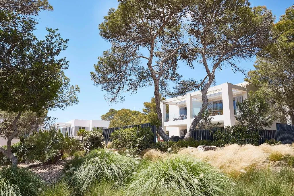 Room, Club Calimera Delfin Playa, Ibiza