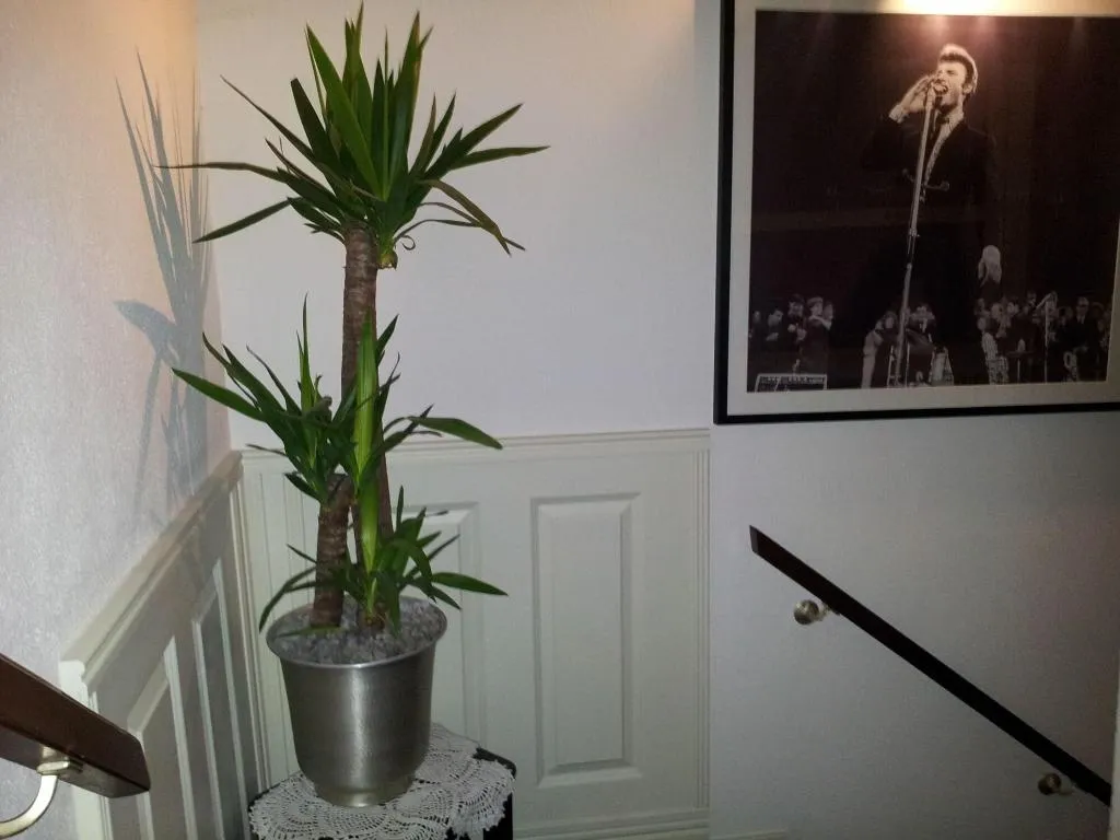 Lobby, The Concert Hotel, Amsterdam