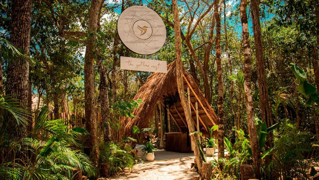 General view, The Yellow Nest, Cancun Area